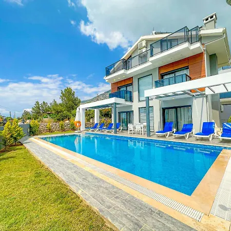 Вилла Nokta Park K 4+1 Villa, Oezel Havuzlu Фетхие
