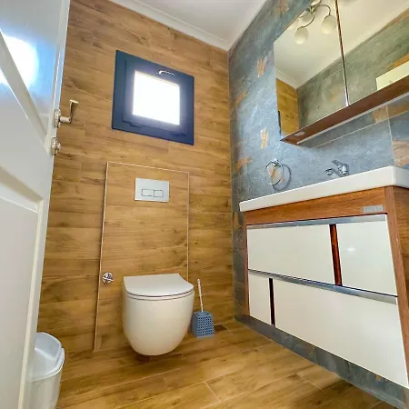 Nokta Park K 4+1 Villa, Oezel Havuzlu